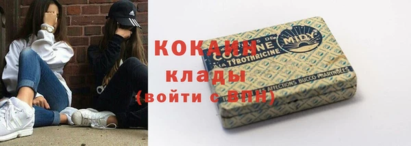 твердый Алексин