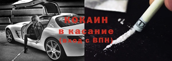 твердый Алексин