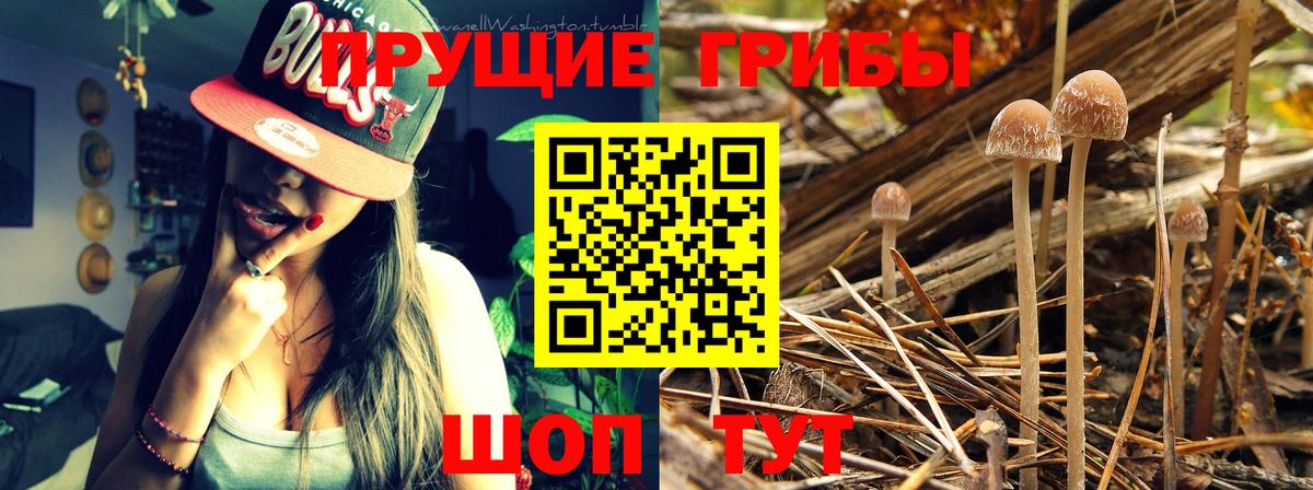 Псилоцибиновые грибы ЛСД Ревда
